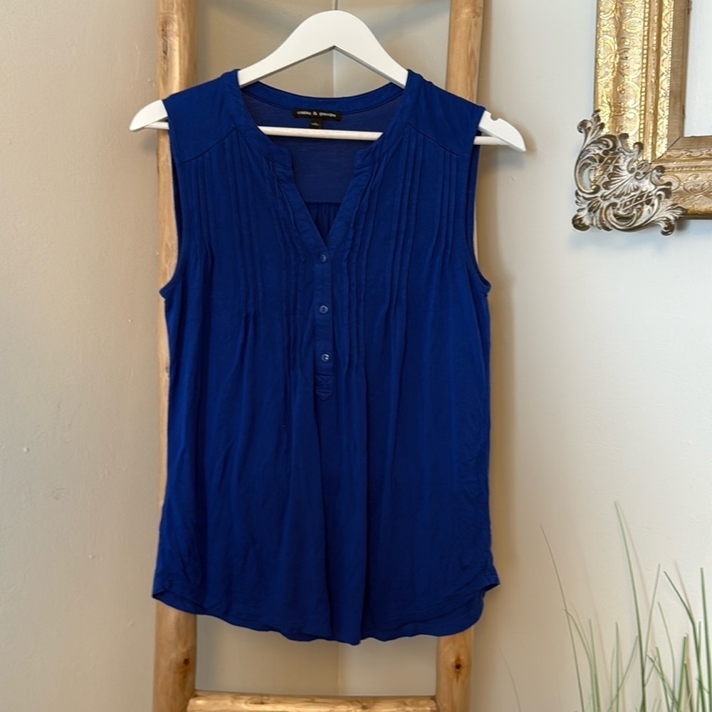 Cable & Gauge Blue Sleeveless Pleated Button Front Top